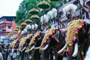 Thrissur Pooram